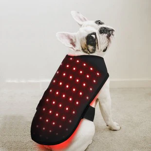 LumiPet - Image 4
